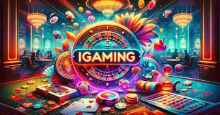 win365 link