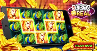 win365 link