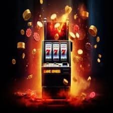win365 link